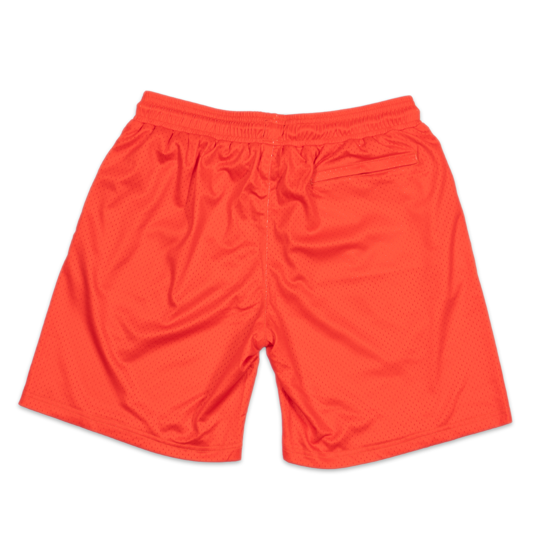 Mesh Shorts - Some Light Clothing